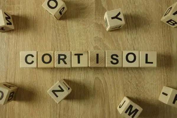The Hidden Connection: How Stress Shapes Your Fitness and Body Composition 2 Image saying "Cortisol" and how stress Wollaton impacts your wellbeing and bodies shape